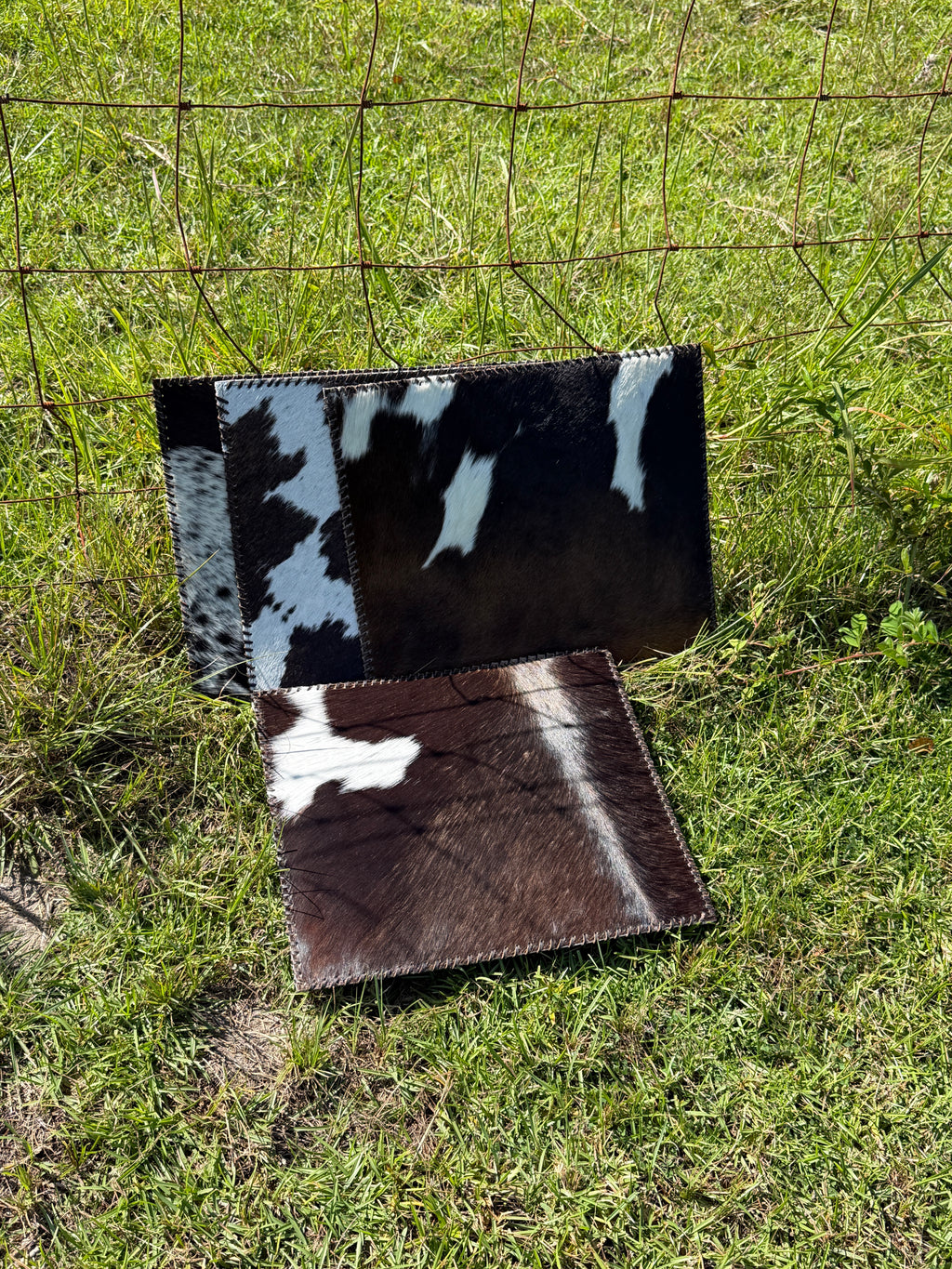 Brown Cowhide Placemats (Set of 4)