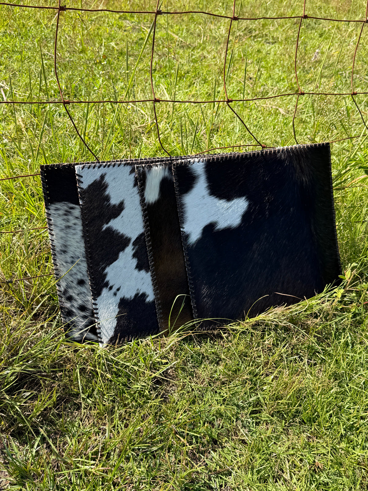 Brown Cowhide Placemats (Set of 4)
