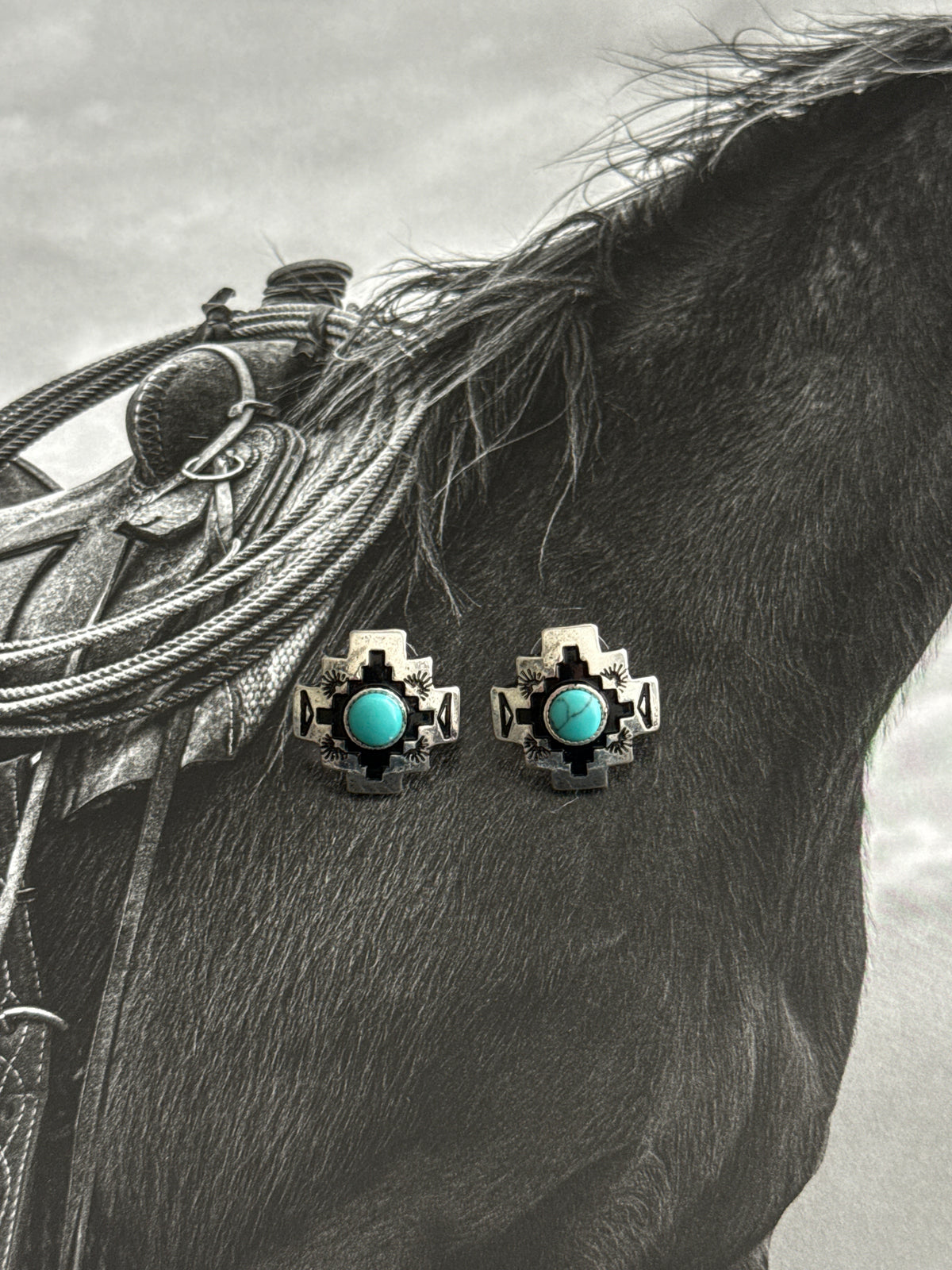 The Animas Earrings